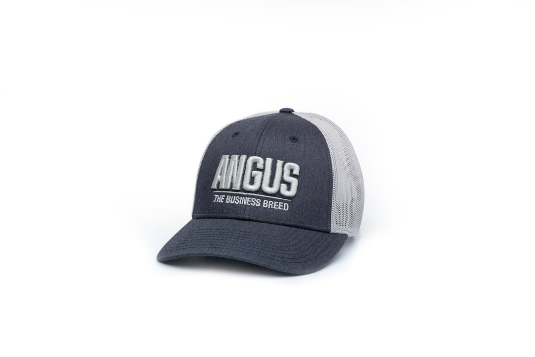 The Modern Trucker Cap   Richardson 115