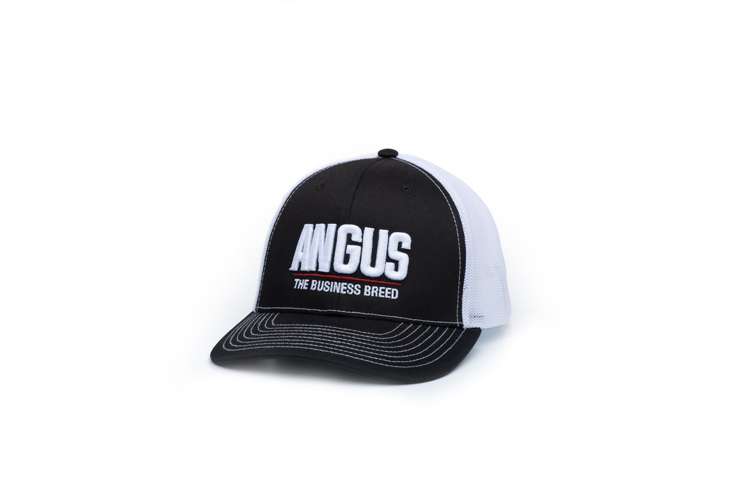 The Classic Angus Trucker Cap   Richardson 112