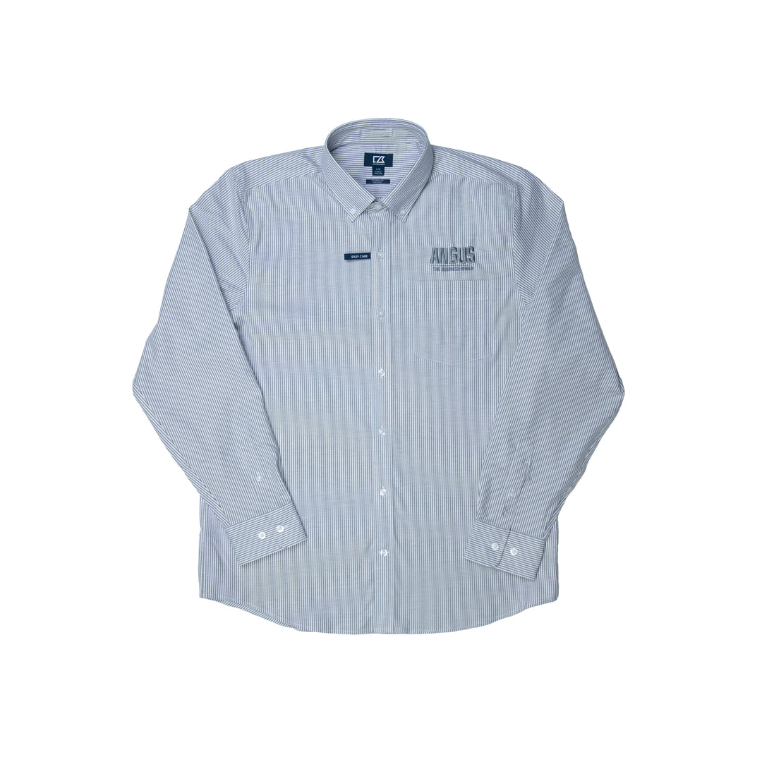 The Professional Pinstripe Oxford Long Sleeve Button Down