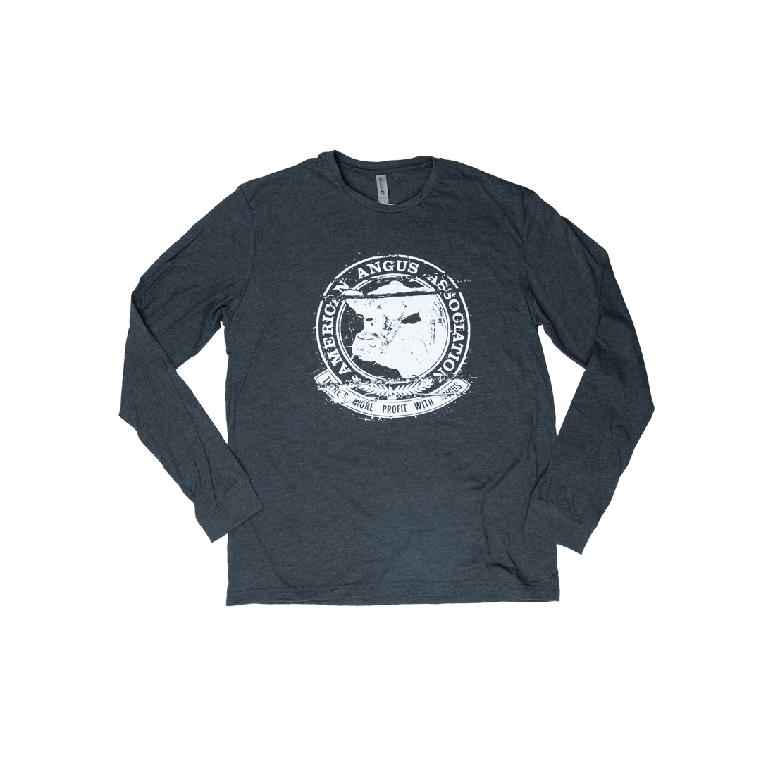 The Vintage Long Sleeve Graphic Tee