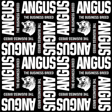 Angus Brand – The Angus Brand