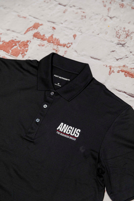 The Everyday Polo   An Angus Classic