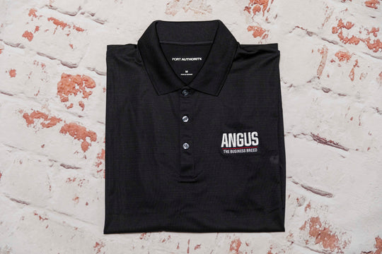 The Everyday Polo   An Angus Classic