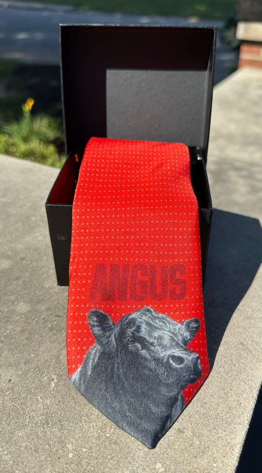 The Varsity Collection - Limited Edition Silk Ties