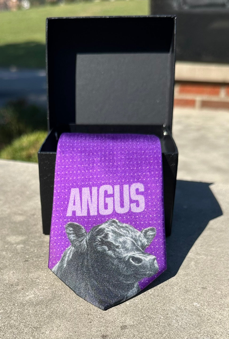 The Varsity Collection - Limited Edition Silk Ties