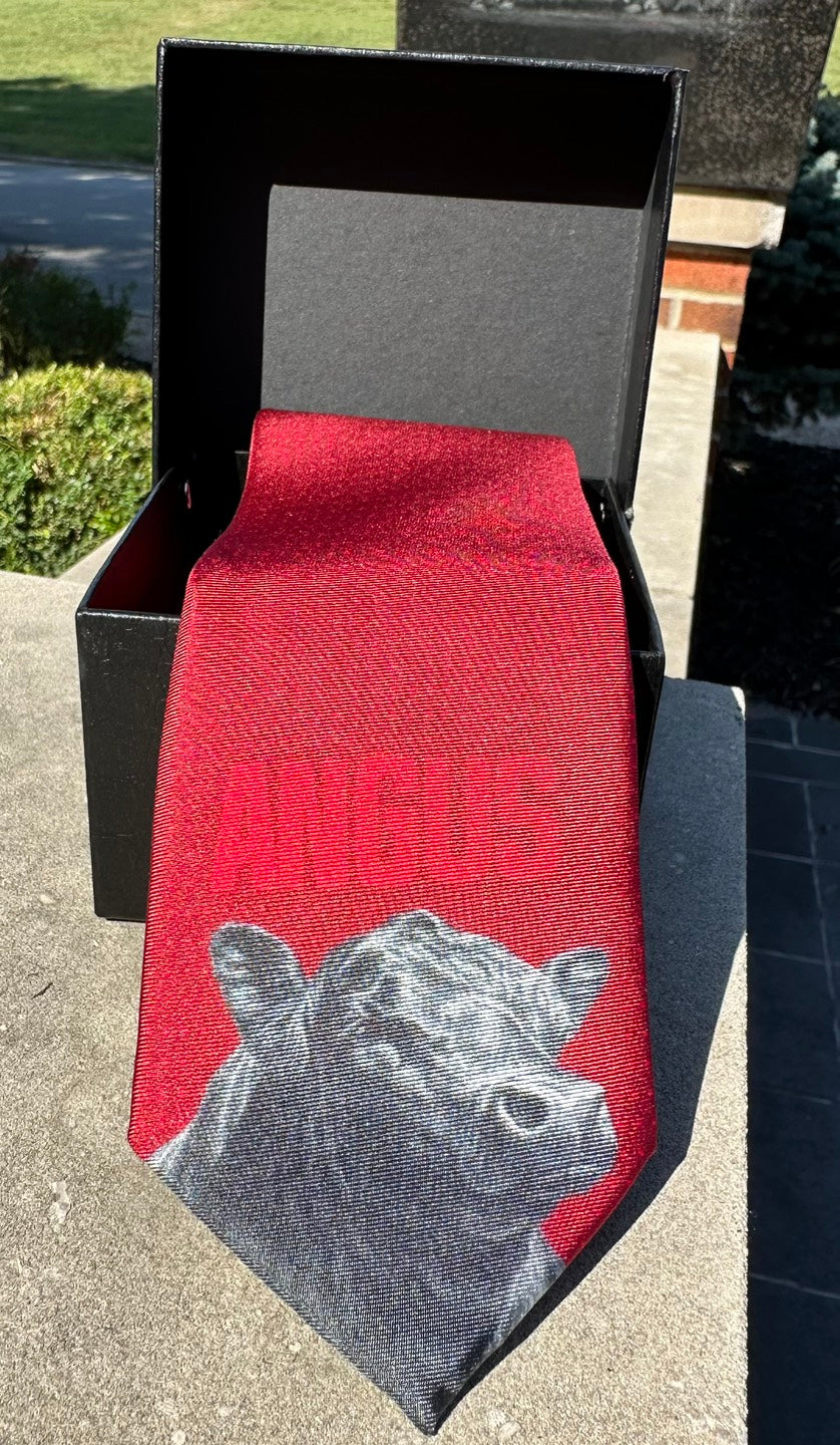 The Varsity Collection - Limited Edition Silk Ties