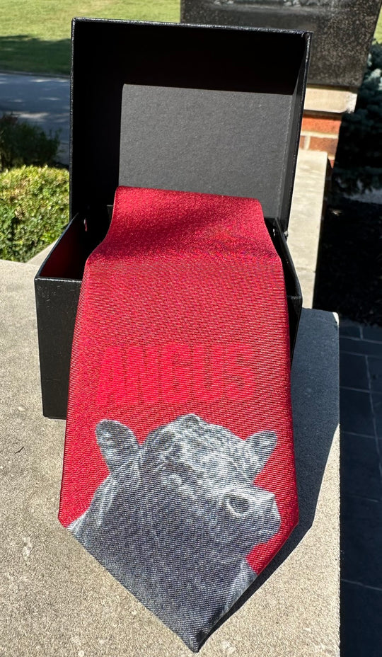 The Varsity Collection - Limited Edition Silk Ties