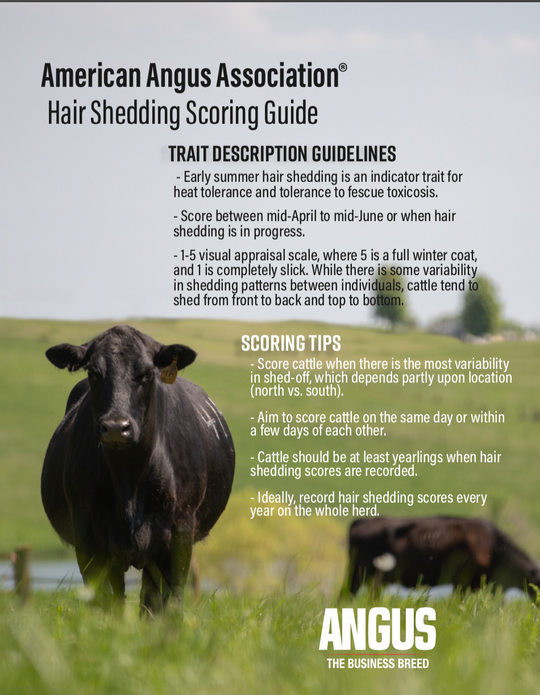 Hair Shedding Scoring Guide