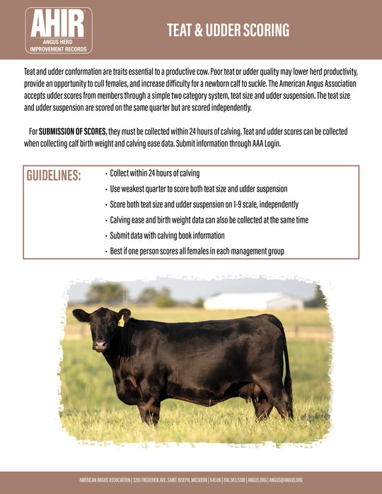 Teat and Udder Scoring Guide