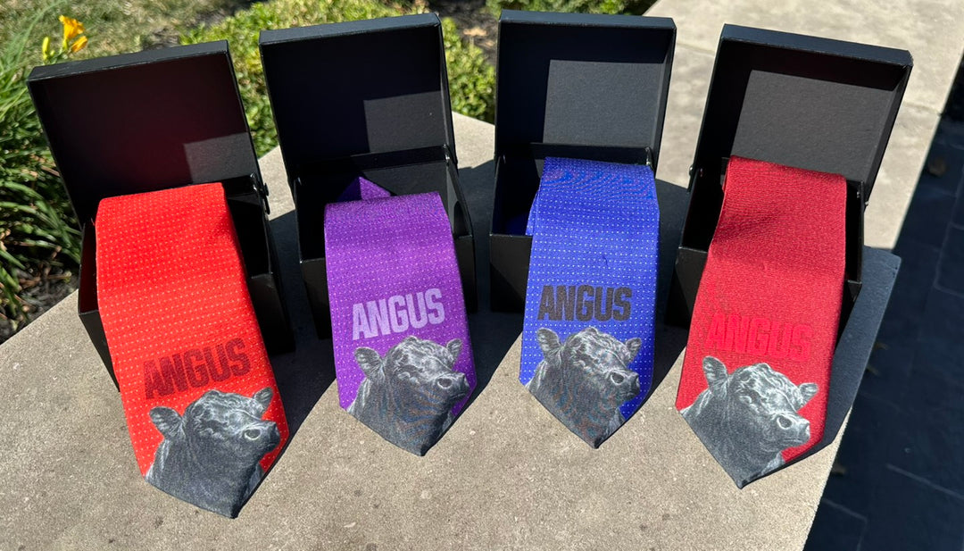 The Varsity Collection - Limited Edition Silk Ties